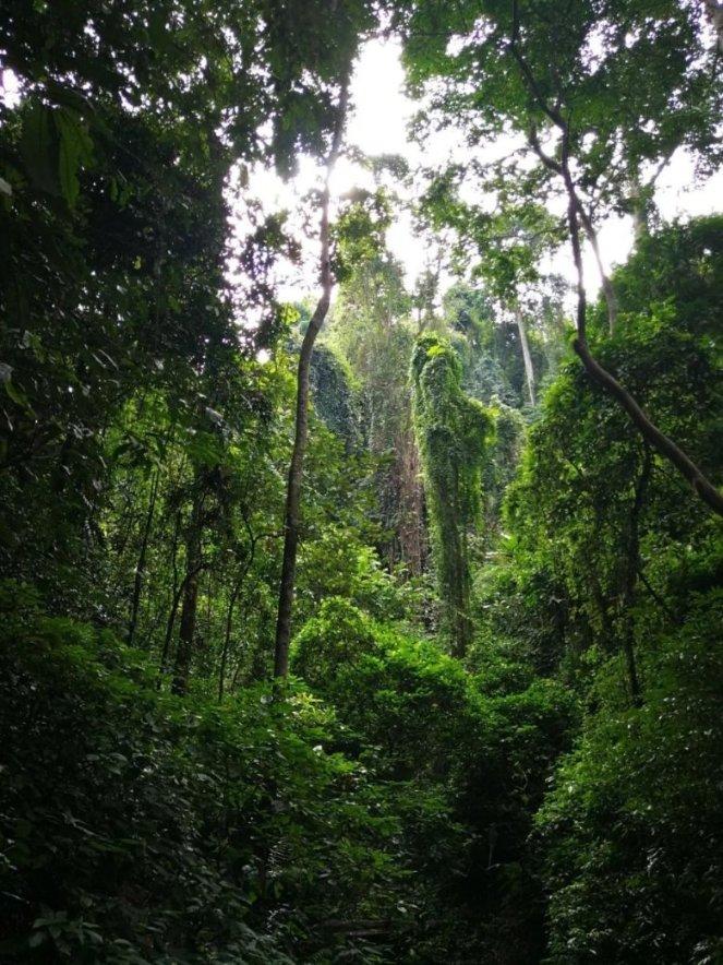 水煮鸡蛋别只加盐和水，放入一点“它”，鸡蛋不开裂剥壳超轻松