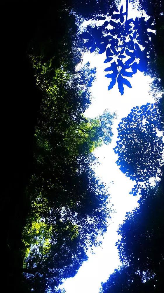 绍兴树人大学到义乌四季三区最快路径？
