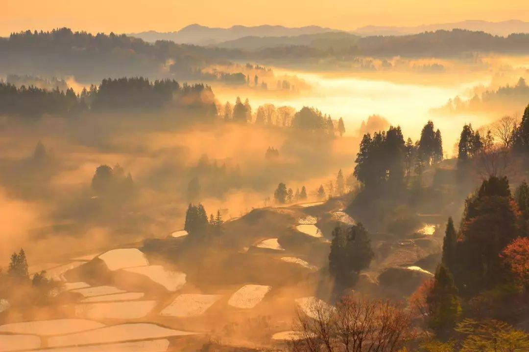2023年宠业大汇21城精彩收官，2024年一起【破局而立，向新而行】