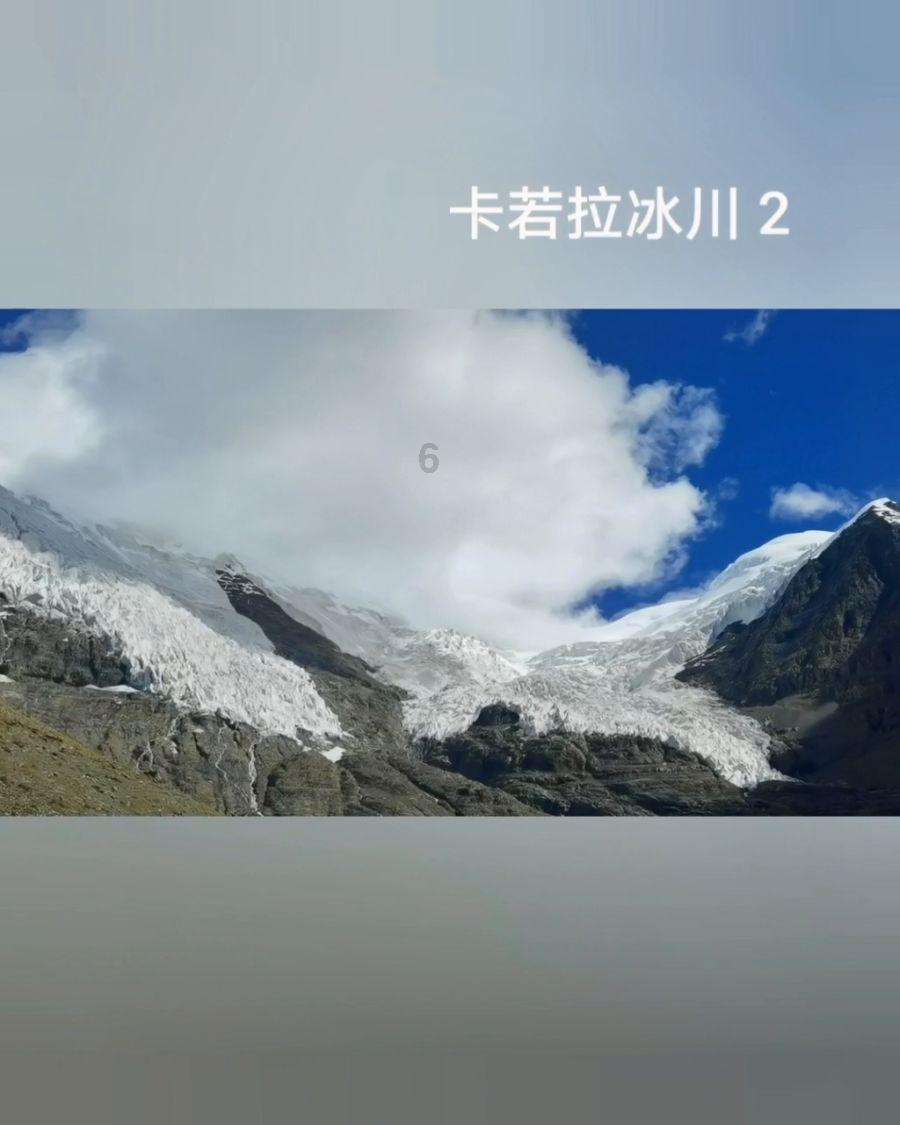 沪江开心词场