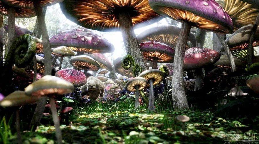 【2月月运】2月十二星座月运详解—Ezoey徐佩玲月运